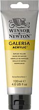Winsor & Newton Galeria Acrylic Colour 120ml Naples Yellow