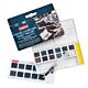 Derwent Tinted Charcoal Paint Pan Set