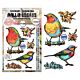AALL & Create Hearted Nature A6 Stamp Sets Robin Sprout by Autour De Mwa & Co (AALL-TP-1349)