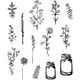Tim Holtz Cling Stamps Flower Jar