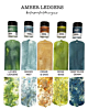 Amber Ledgers Magical Shaker 2.0 SET by Katie Pertiet (mshaker-SET-19)