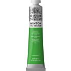 Winsor & Newton Winton Oil Colour 200ml Permanent Green Light