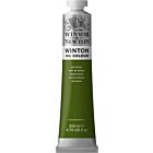 Winsor & Newton Winton Oil Colour 200ml Sap Green