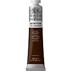 Winsor & Newton Winton Oil Colour 200ml Raw Umber