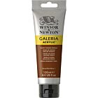 Winsor & Newton Galeria Acrylic Colour 120ml Burnt Sienna Opaque
