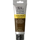 Winsor & Newton Galeria Acrylic Colour 120ml Burnt Umber