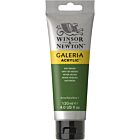 Winsor & Newton Galeria Acrylic Colour 120ml Sap Green