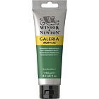 Winsor & Newton Galeria Acrylic Colour 120ml Permanent Green Medium