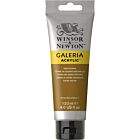 Winsor & Newton Galeria Acrylic Colour 120ml Raw Sienna