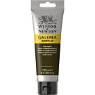 Winsor & Newton Galeria Acrylic Colour 120ml Raw Umber