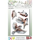 pre order (begin juni verwacht) Studio EELZ Clear Stamps Birds & Flowers 1 Sweet Sparrow
