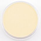 PanPastel Yellow Ochre Tint 270.8