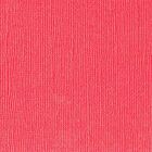 Florence cardstock texture 12x12" 216gram anemone
