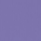 Florence cardstock texture 12x12" 216gram purple