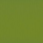 Florence cardstock texture 12x12" 216gram fern