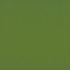 Florence cardstock texture 12x12" 216gram olive