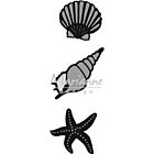 Marianne Design Craftables  Sea shells