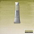 Winsor & Newton Professional Water Colour 5ml Terre Verte (Yellow shade)