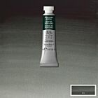 Winsor & Newton Professional Water Colour 5ml Perylene Green 