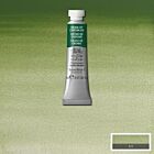 Winsor & Newton Professional Water Colour 5ml Oxide Of Chromium