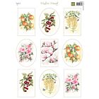 Marianne Design Knipvel A4, Mattie's Mooiste - Fruit & Flowers