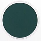 PanPastel Phthalo Green Extra Dark 620.1