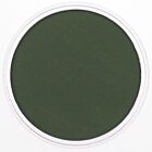 PanPastel Chrom.Oxide Green Extra Dark 660.1