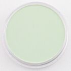 PanPastel Chrom.Oxide Green Tint 660.8