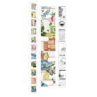 Arden Creative Field Notes Ephemera Rolls (3pcs) (ACSER0001)