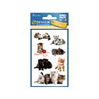 Avery papieretiket Z-design Kids pakje a 3 vel katten foto