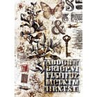 Ciao Bella Typographic A4 Deluxe Paper Pearl Copper & Vellum Dual Pack Mixed (6pcs) (CBX008)