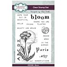 Sam Poole Clear Stamp A6 Bloom (CEC1081)