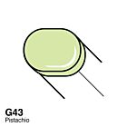 G43 Copic Sketch Pistachio