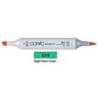 G19 Copic Sketch Marker Bright Parrot Green