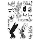 Hero Arts Color Layering Clear Stamps 4"X6" Hummingbird