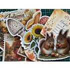 Herfstgeluk die-cuts (Leverbaar binnen 4 werkdagen)