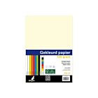 papier Kangaro A4 120gr pak a 100 vel (10x10) assorti