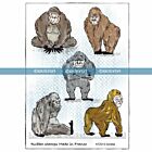 Katzelkraft Gorillas - Tampons gorilles- A5 Vulcanised rubber stamp