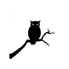 Lavinia Stamps Owl LAV202