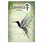 Lavinia stamps Hummingbird Large Stamp 