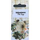 PaperArtsy Infusions Dye CS03 - The Sage