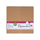 Tall Cards & Envelopes Recycled Kraft (50pk) (PMA 150622)