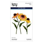 Cascading Coneflowers Etched Dies Wild Coneflowers by Simon Hurley (S4-1540)