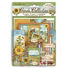 Sunflower Art Cards Collection (SBCARD17)