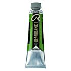 Rembrandt Olieverf Tube 40 ml Sapgroen 623