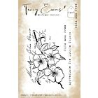 Tracy Evans Wild and Free A7 Stamp (TE047)