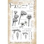 Tracy Evans The Miracle Of A Flower A5 Stamp (TE059)