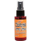 Tim Holtz Distress Spray Stain Carved Pumpkin