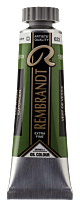 Rembrandt Olieverf Tube 15 ml Sapgroen 623