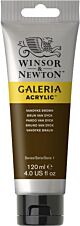 Winsor & Newton Galeria Acrylic Colour 120ml Vandyke Brown
